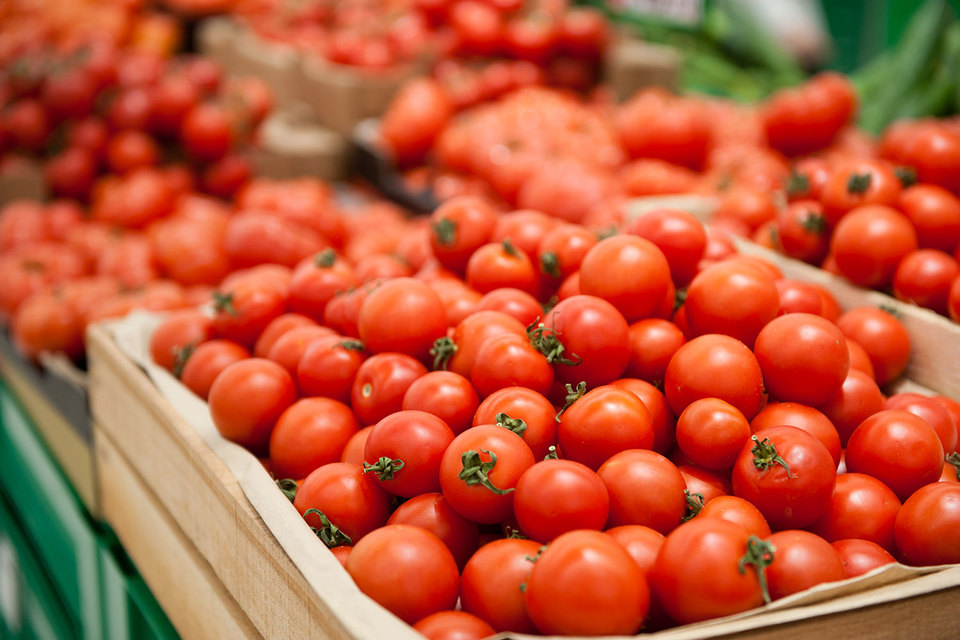 Rusiya Azərbaycana pomidor qadağasını götürdü