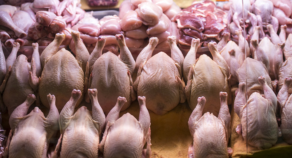 Rusiyadan gətirilən toyuqların dərisində salmonella aşkarlandı