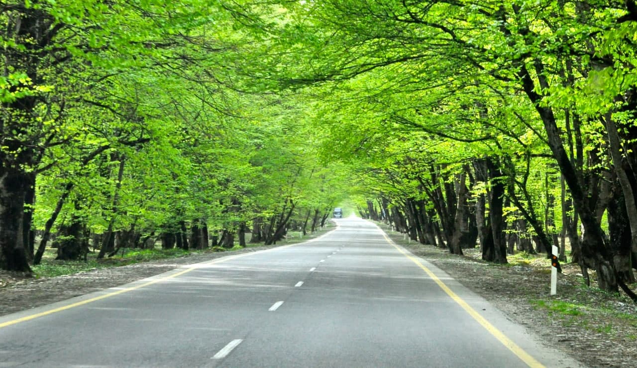 İsmayıllı-Qəbələ yolu bağlandı - FOTO İsmayıllı-Qəbələ yolu bağlandı - FOTO