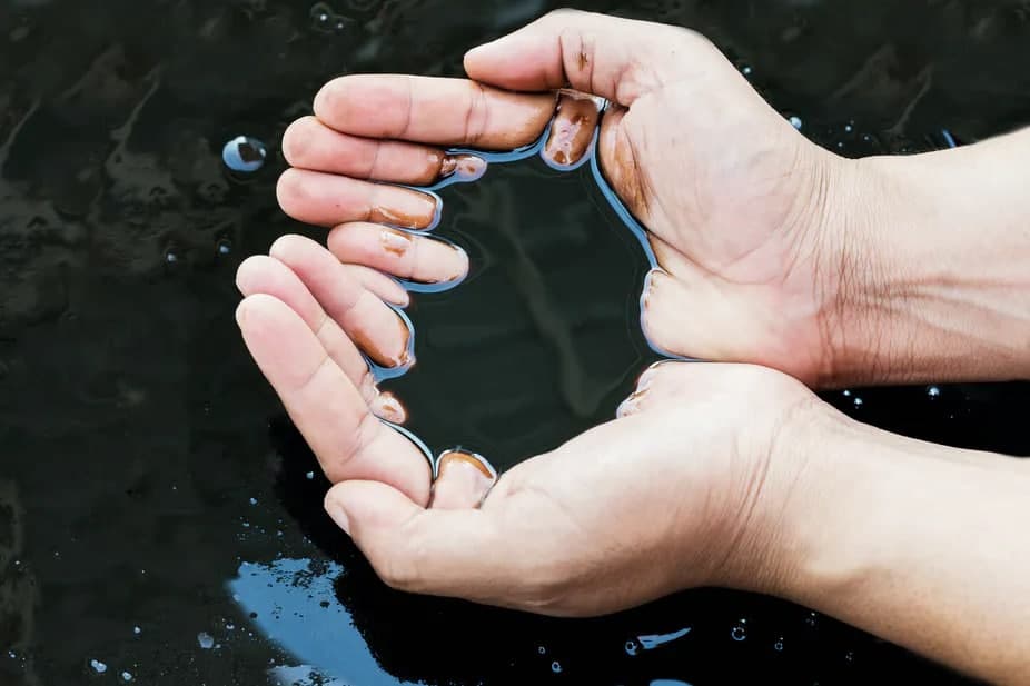 Neft bahalaşmaqda davam edir