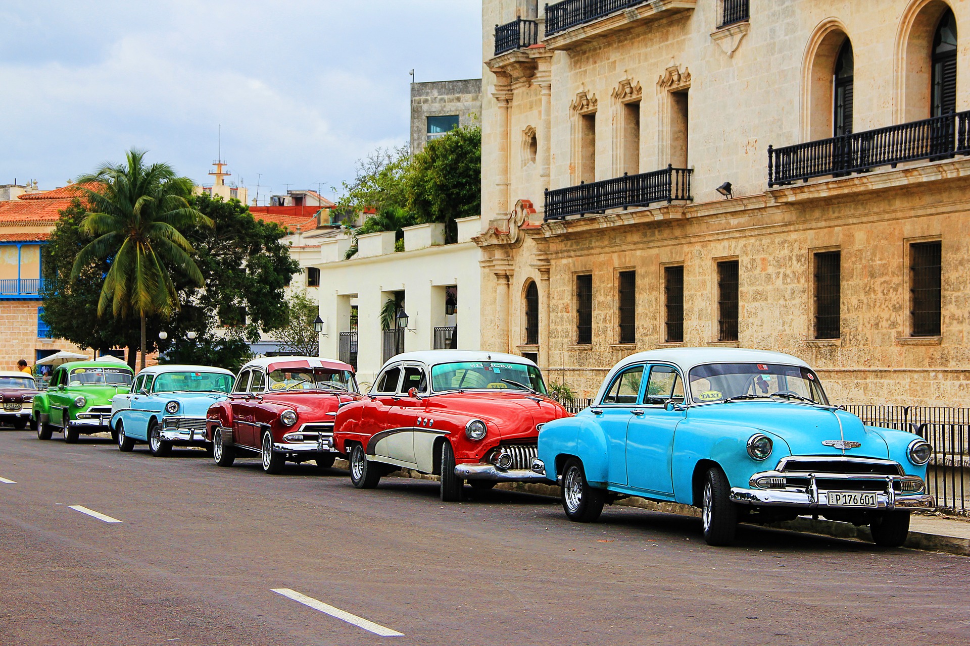 Kubada hamı Elzanı gözləyir – VİDEO