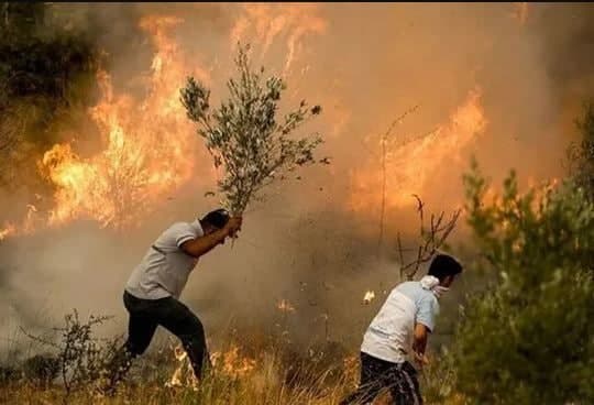 PKK-lının ETİRAFI: “Türkiyədə ağaclara təşkilatımızın əmrilə od vururlar”