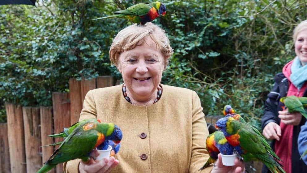 Angela Merkel quşları yemlədi, bayquşdan qorxdu - FOTO 