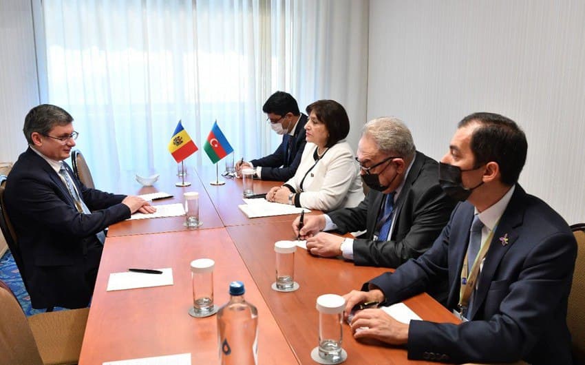 Sahibə Qafarova Moldova Parlamentinin sədri ilə görüşdü