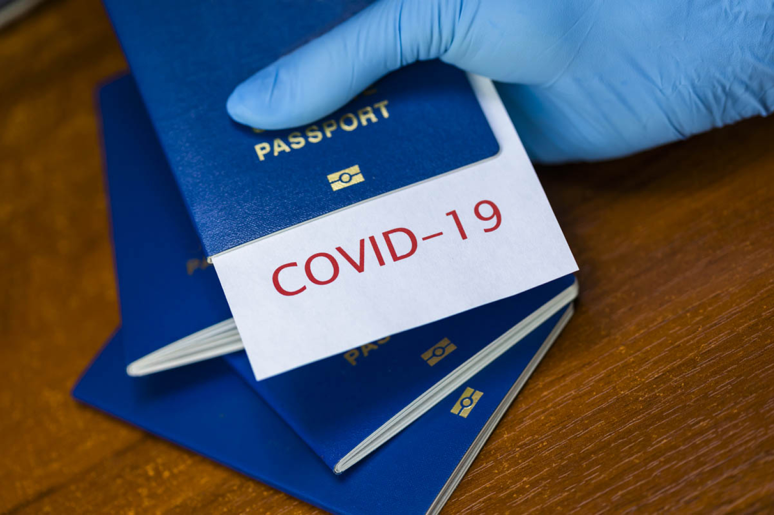 Keçmiş deputatın şirkəti COVID pasportu satmaqda ittiham olundu