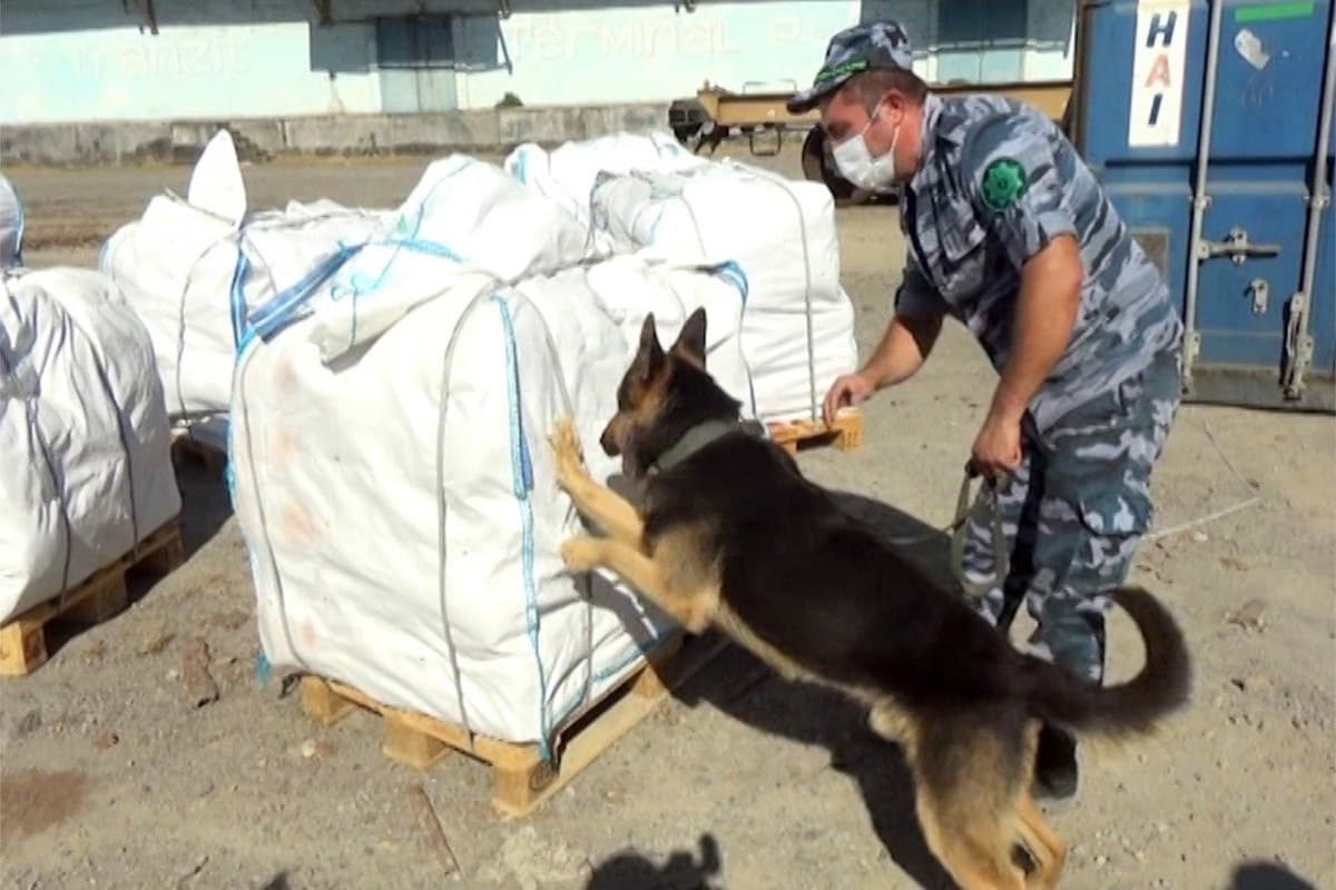 Yarım tondan çox heroin gömrükdə saxlanıldı