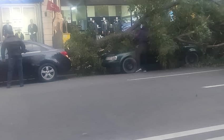 Yasamalda külək ağacı avtomobillərin üzərinə aşırdı - FOTO