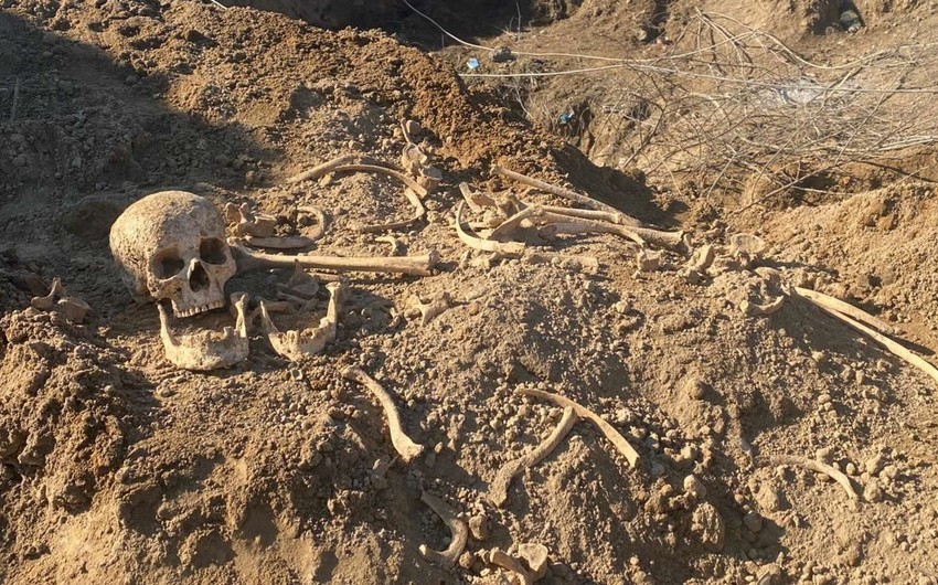 Qobustanda insan skeleti aşkarlandı