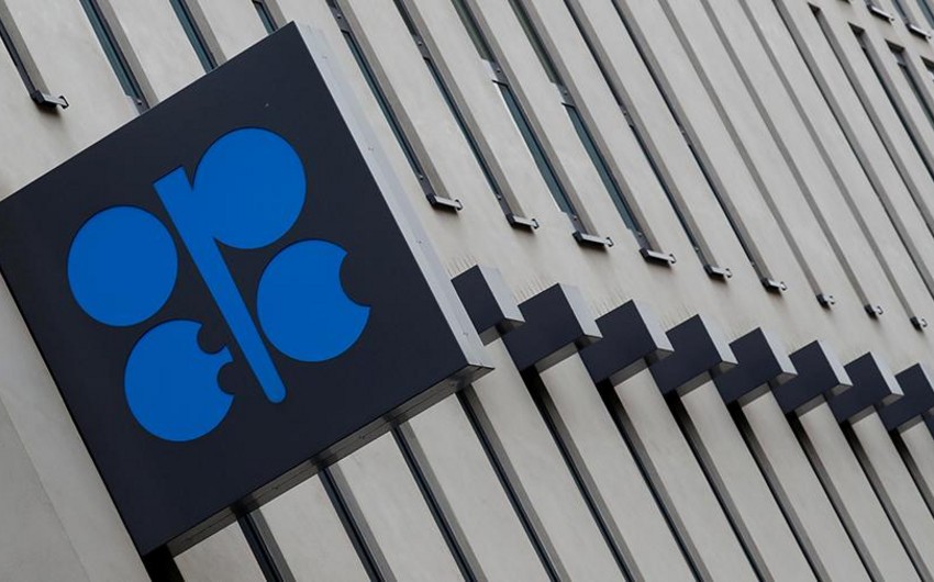 OPEC-in qərarı neftin ucuzlaşma riskini artırır