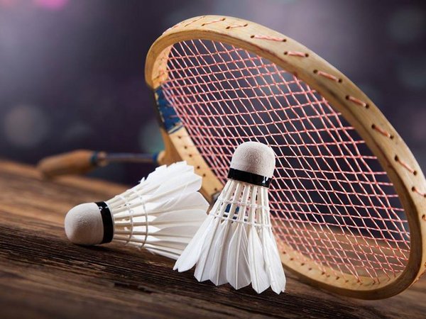 Badminton Federasiyasına yeni prezident seçildi