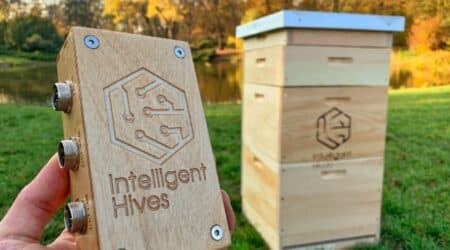 Azərbaycanda “Smart” arı yeşikləri hazırlanır - Sensorlar məlumatları ötürəcək