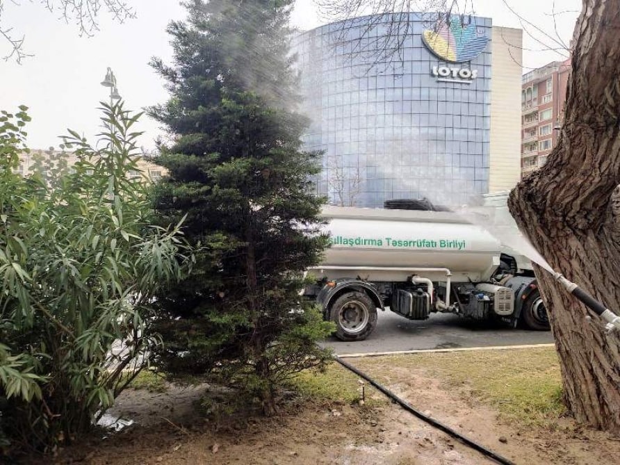 Bakıda yol kənarlarındakı ağaclar budanır və yuyulur - FOTO