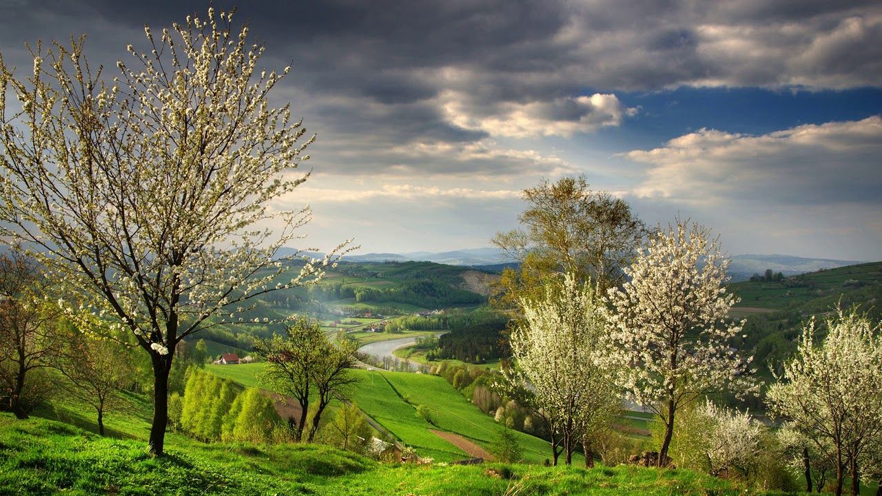 Novruz gəldi, bəs yaz? - İqlim dəyişikliyinin fəsil düzəninə TƏSİRLƏRİ 