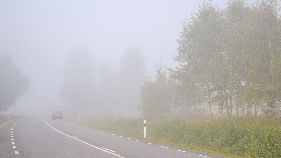 Sürücülərin NƏZƏRİNƏ: Sabah bu yollarda duman olacaq
