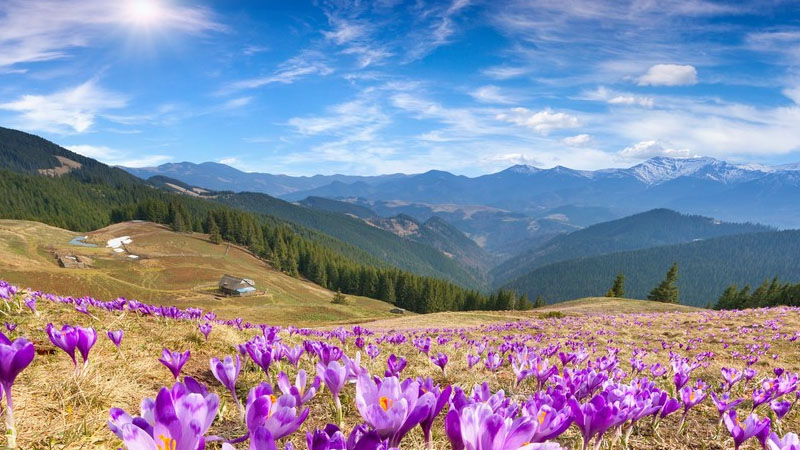 May ayında hava necə olacaq? - Hidrometeoroloqların PROQNOZU