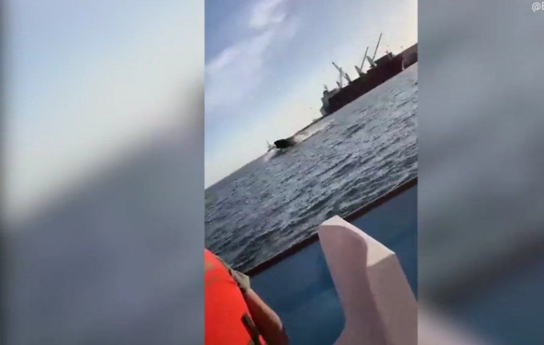 Meksikada suya tullanan balina turistlərin qayığına çırpıldı: Yaralananlar var - VİDEO