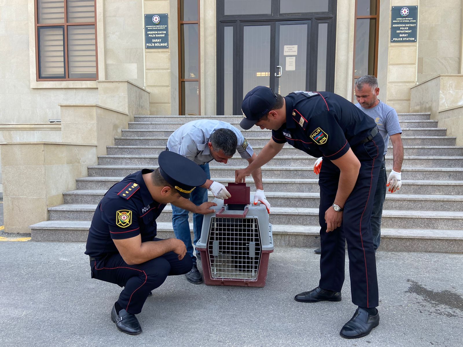 Murad Arifin bağına girən ayı balasını polislər belə götürdü - FOTO 