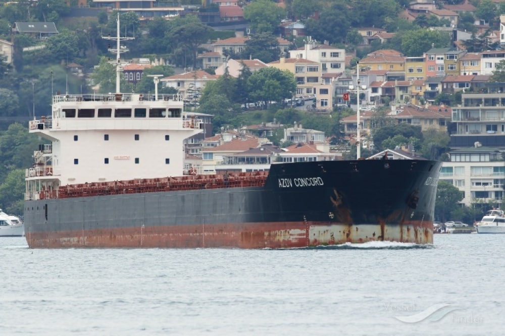 Türkiyənin yük gəmisi Mariupoldan Novorossiysk limanına gəldi