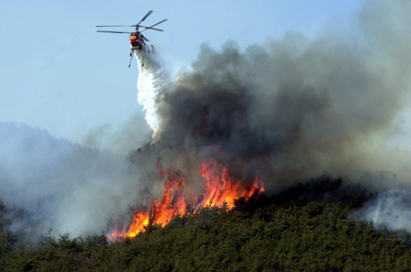 Xaçmazdakı meşə yanğını nəzarətə götürüldü - Əraziyə 2 helikopter göndərildi - YENİLƏNİB/VİDEO