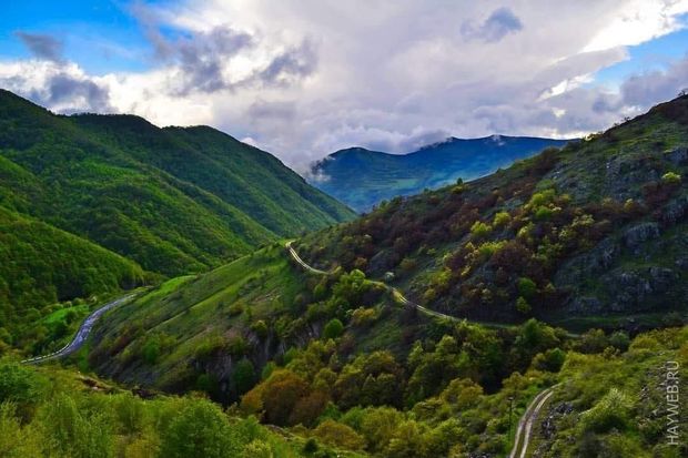 Azərbaycanda Milli Meşə Proqramı hazırlandı