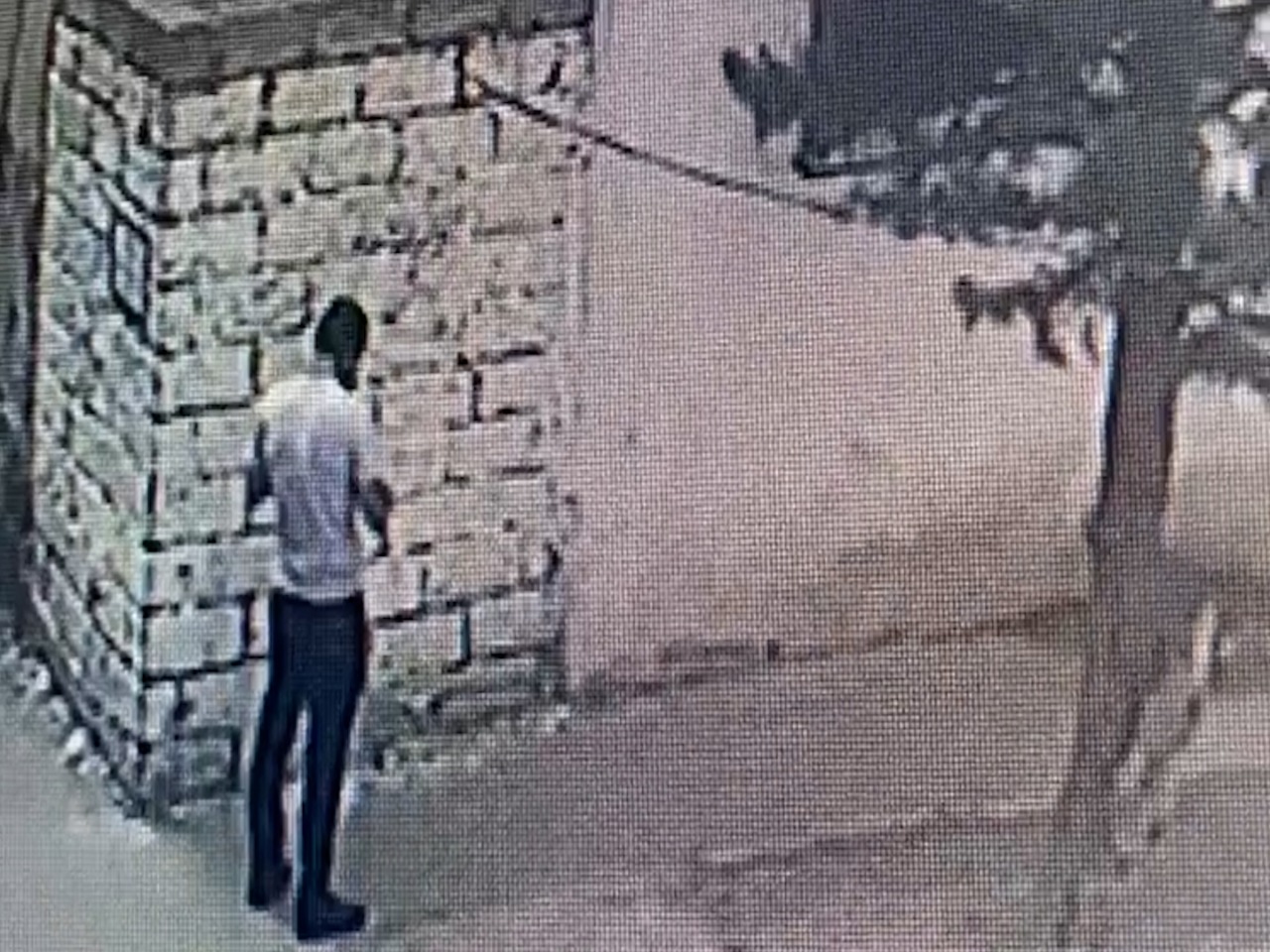 Binəqədidə qadının qızıl boyunbağısını qarət edən şəxs tutuldu – FOTO/VİDEO