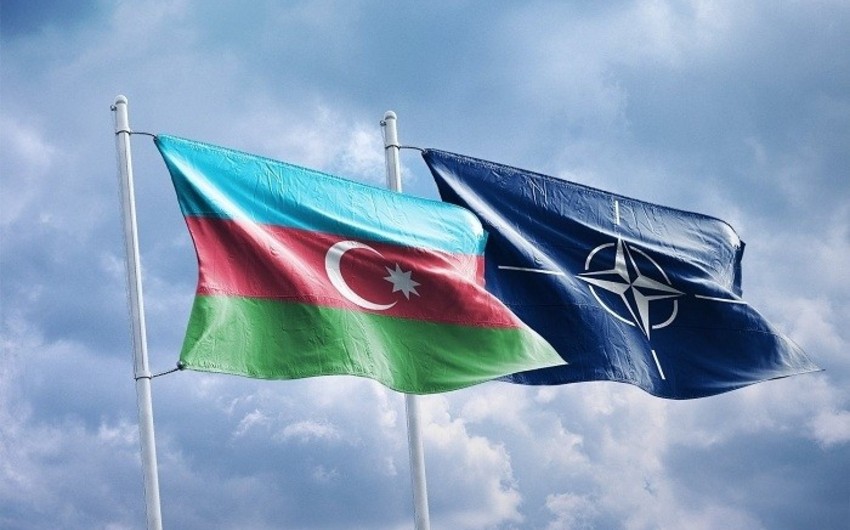Azərbaycan və NATO yeni birgə sənəd üzərində işləyir