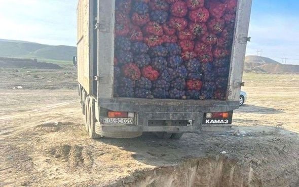 Azərbaycana gətirilən tonlarla kartofda zərərli maddə aşkar edildi - FOTO