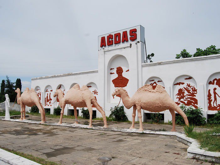 Ağdaşda heyvanlar arasında xəstəlik yayılıb – FOTO 