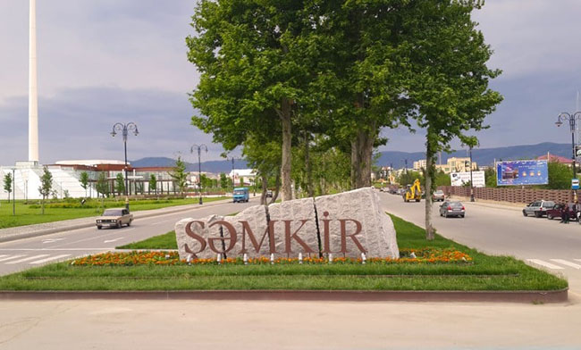 Şəmkir sakini əmisi oğlunu baltaladı