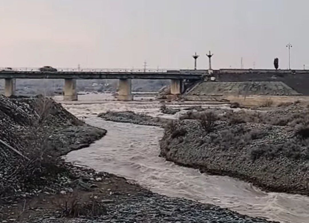 Tərtərçayda suyun səviyyəsi qalxdi, evi su basdı - FOTO