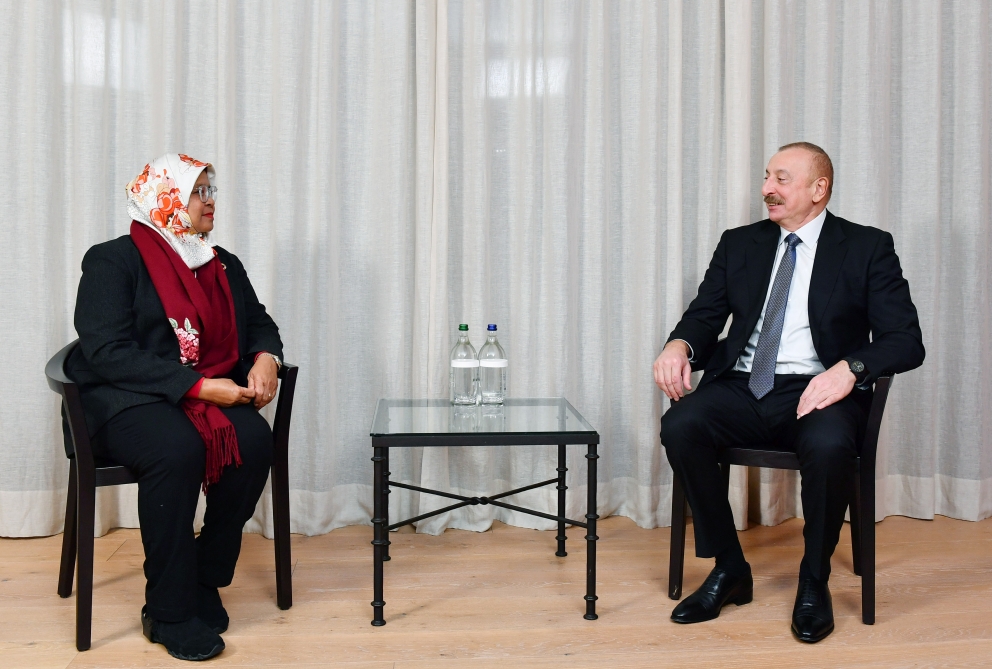 İlham Əliyev BMT-nin Məskunlaşma Proqramının icraçı direktoru ilə görüşdü - FOTO 