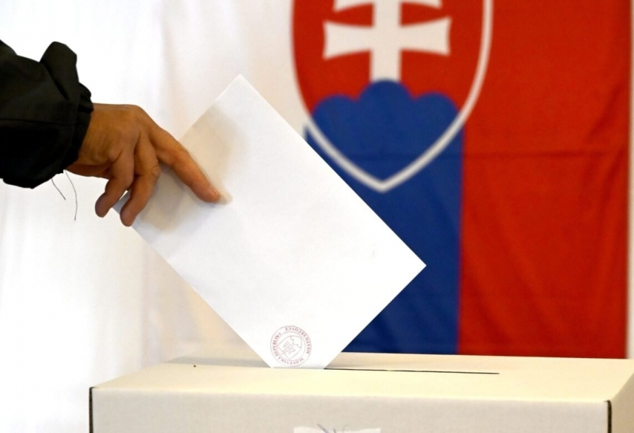 Slovakiyada referendum KEÇİRİLİR 