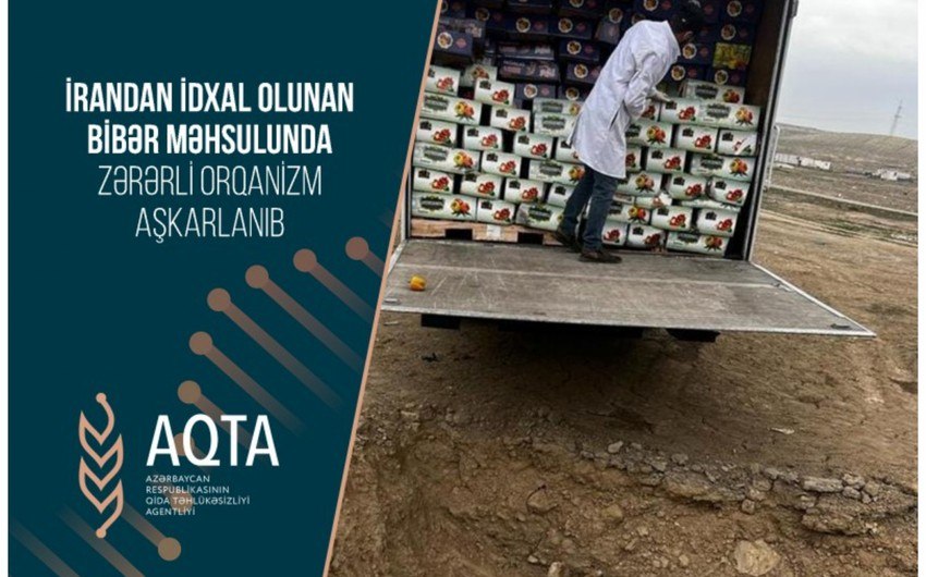 İrandan Azərbaycana gətirilən 6 ton bibər yararsız ÇIXDI