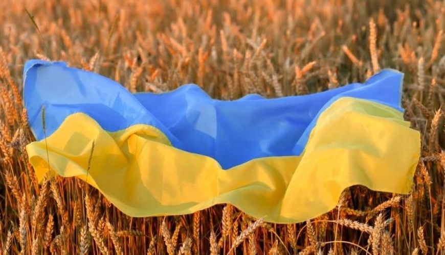 Avropa Komissiyası Ukrayna taxılının Şərqi Avropanın beş ölkəsinə ixracına QADAĞA QOYDU 