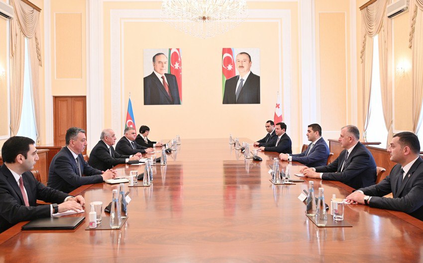 Baş nazir Gürcüstan parlamentinin sədrini QƏBUL EDİB 