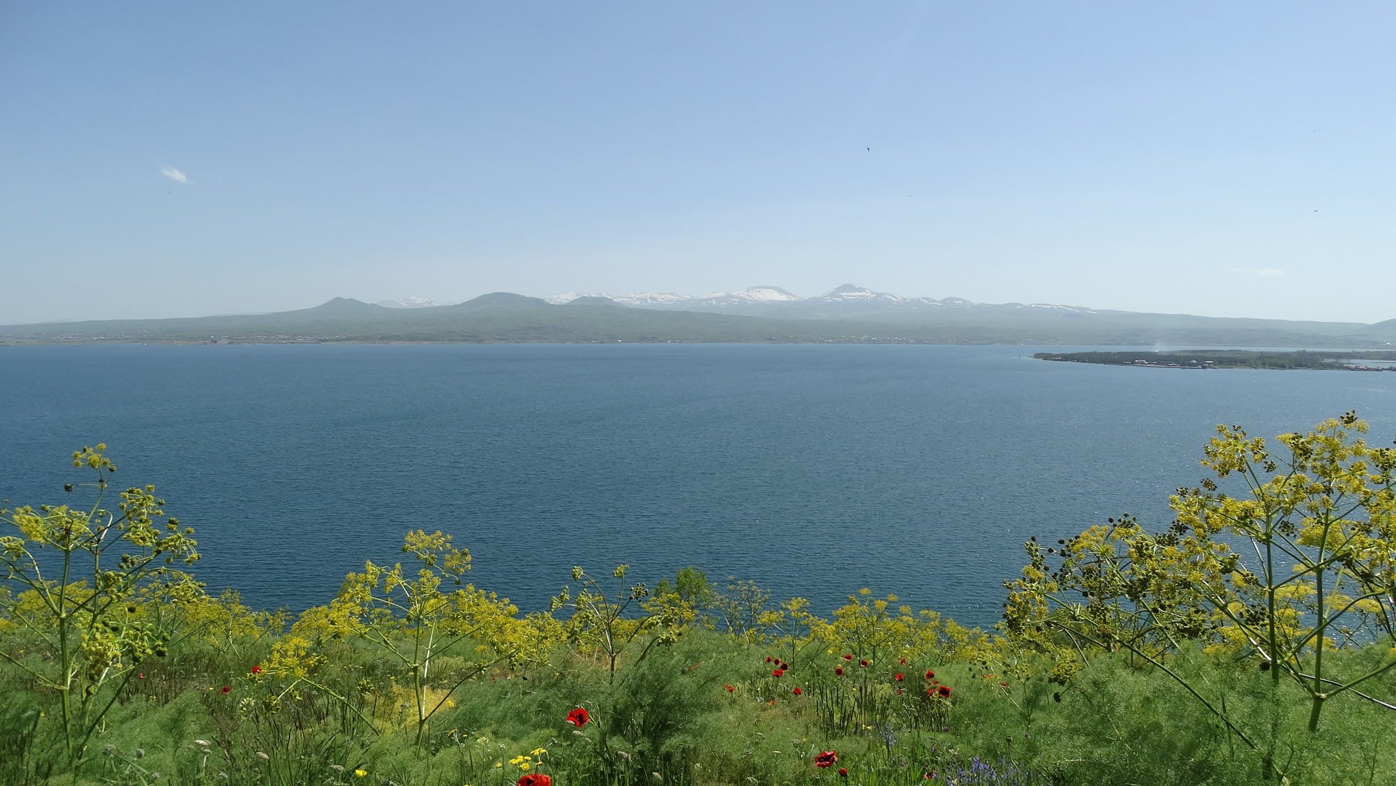 Müharibəyə görə Ukraynadan qaçan erməni iş adamı Göyçə mahalında güllələndi