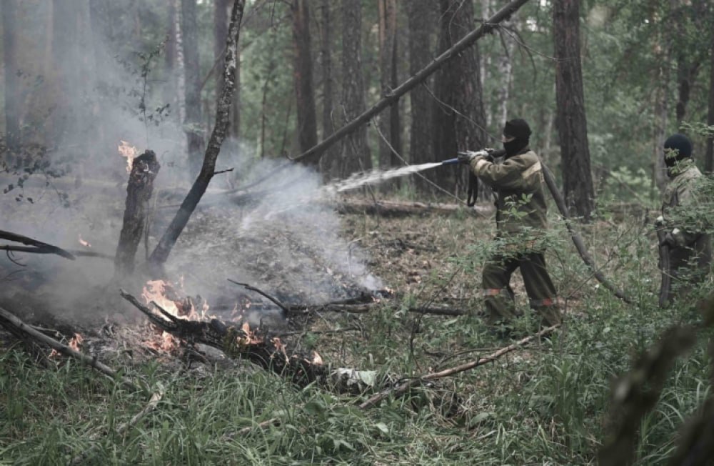 Tokayev meşə yanğını baş verən əraziyə GƏLDİ - FOTO/VİDEO
