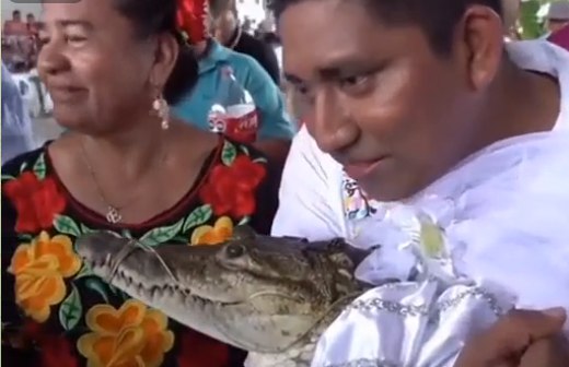 Meksikada şəhər meri timsahla evləndi - VİDEO