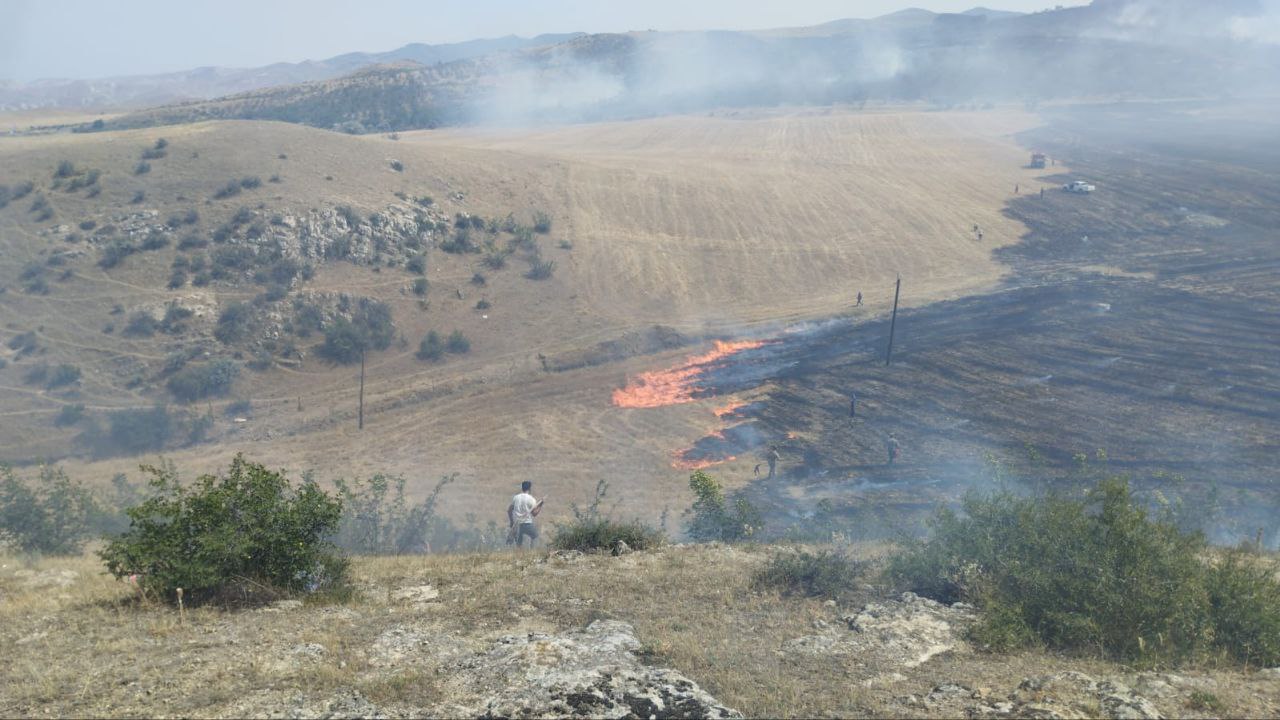 Xızıdakı yanğın əkin sahələrinə ZİYAN VURUB - FOTO/VİDEO  