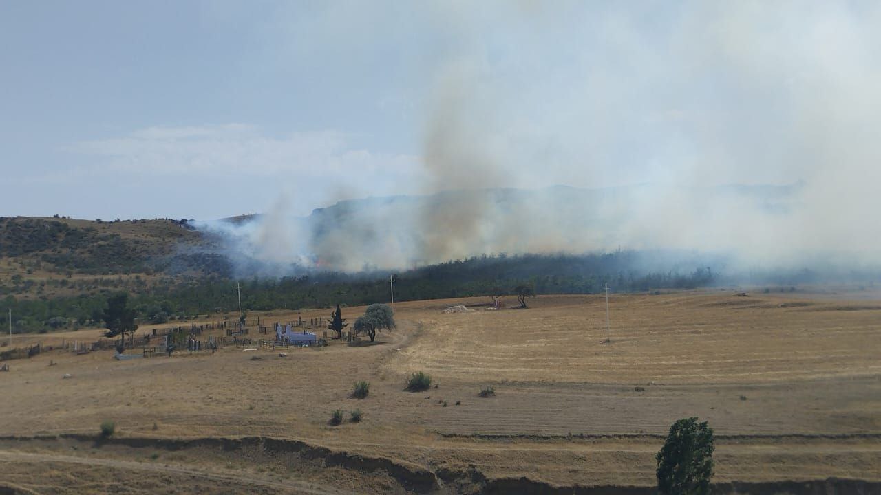 FHN: Xızıdakı yanğında 60 hektar ərazi yanıb