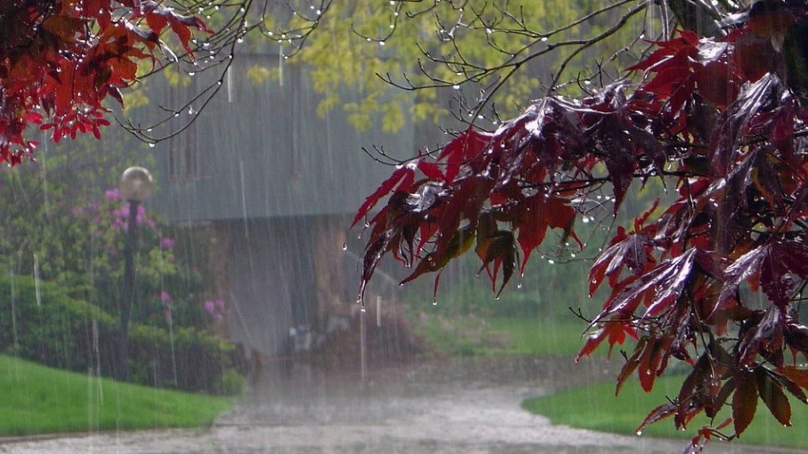 Şimal bölgəsində leysan yağışları yağıb
