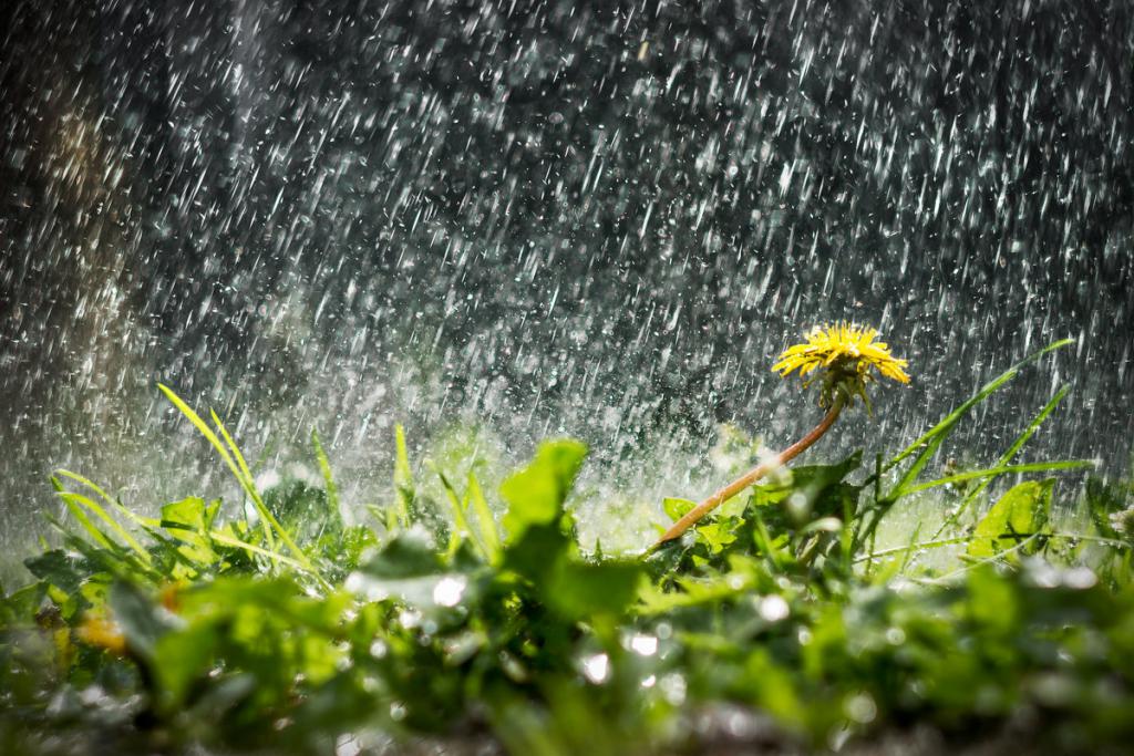 Qeyri-sabit hava nə vaxta qədər davam edəcək? 