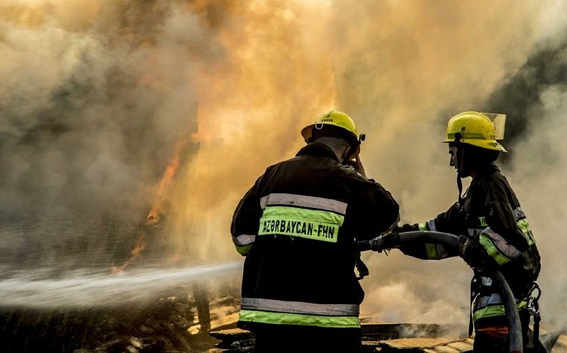 Şabranda mal-qara yandı - FOTO/VİDEO