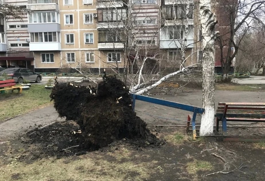 Rusiyada qasırğa: Yaşayış məntəqələri işıqsız qaldı - VİDEO