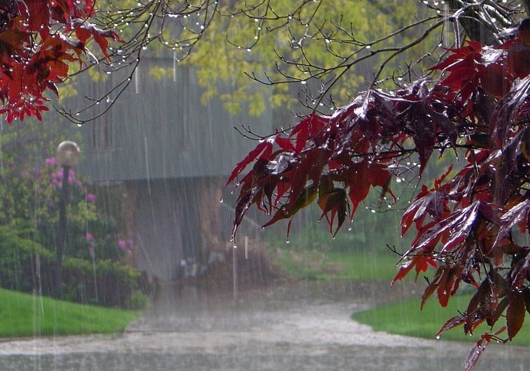 Lənkəran-Astara zonasında intensiv yağış yağıb - FAKTİKİ HAVA 