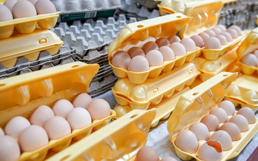 Türkiyə Rusiyaya 19 tondan çox toyuq yumurtası idxal edir