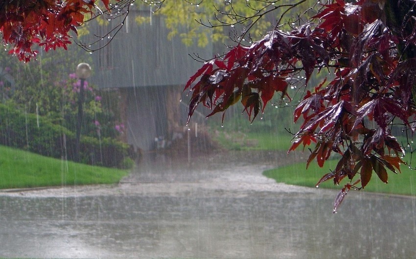 Sabahın hava PROQNOZU: Yağış, külək, sulu qar... 