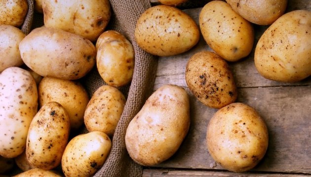 Kartof istehsalı azalsa da, ixracın həcmi və dəyəri ARTIB – FƏRQLİ STATİSTİKA