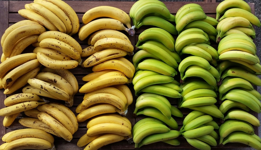 Banan adı ilə aldığımız meyvə 
