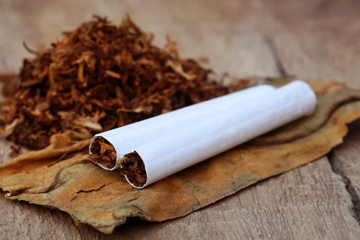 Tütün məmulatının istehsalı üçün YENİ TƏLƏB:  34 milyon manatdan...